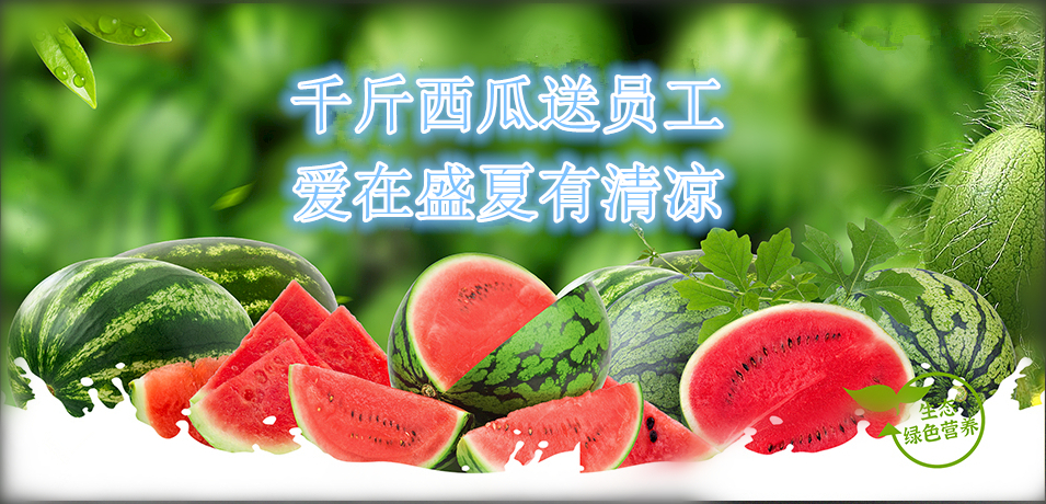 通達(dá)軟件公司： 千斤西瓜送員工，愛(ài)在盛夏有清涼